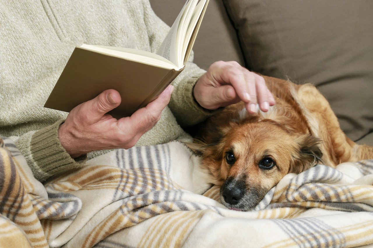 A resident reads a book while a dog sits on her lap.