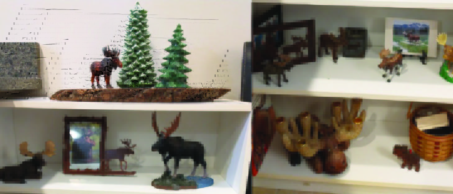 Resident Kathie H.’s Moose Ally Moose Shelf